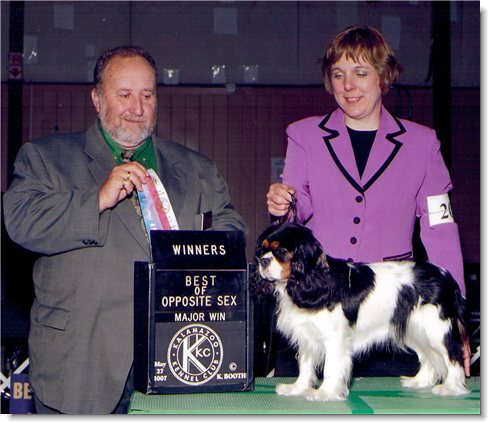 Ch. Hillwood Casio Exilim - Cassy