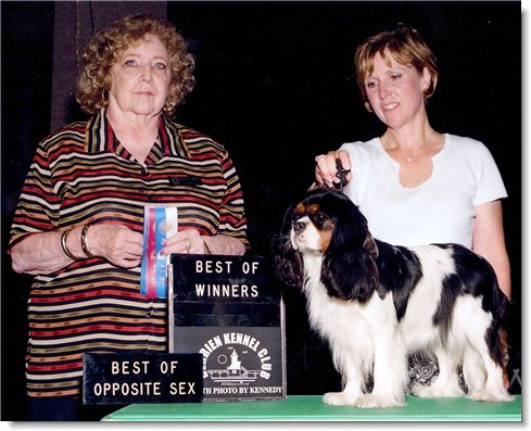 Ch. Hillwood Casio Exilim - Cassy