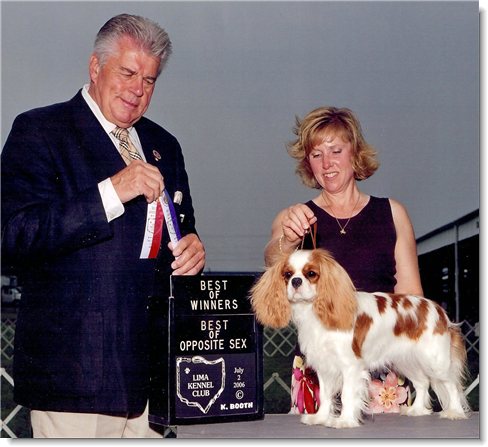 Ch. Winbury Hillwood Little Jewel - LJ