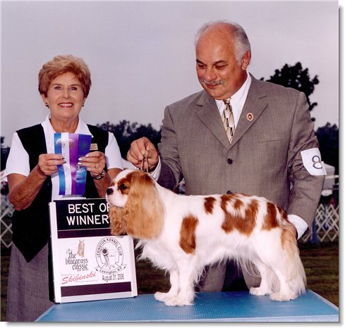 Ch. Winbury Hillwood Little Jewel - LJ