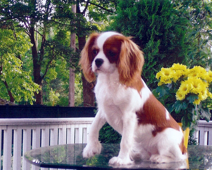 Flying Colors Jpeg - Chloe